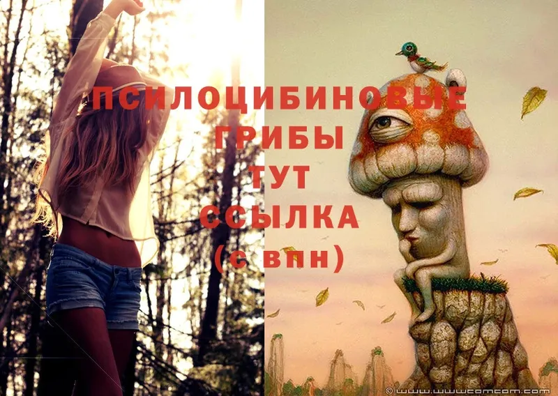 Галлюциногенные грибы Magic Shrooms  купить закладку  Нефтеюганск 